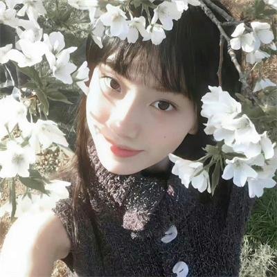 血之泪
